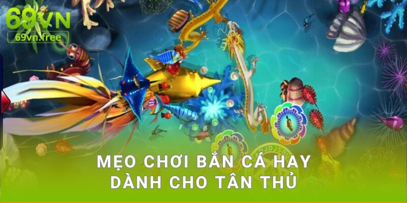 Mẹo chơi bắn cá hay dành cho tân thủ