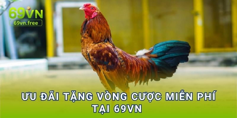 Ưu đãi tặng vòng cược miễn phí tại 69vn